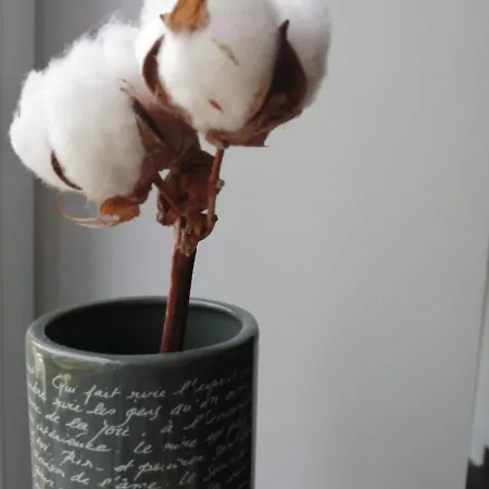 Ou Git Le Bocq Privatif