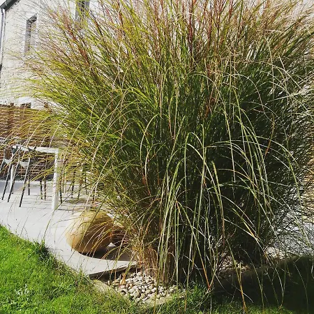 Ou Git Le Bocq Privatif 4* Ciney