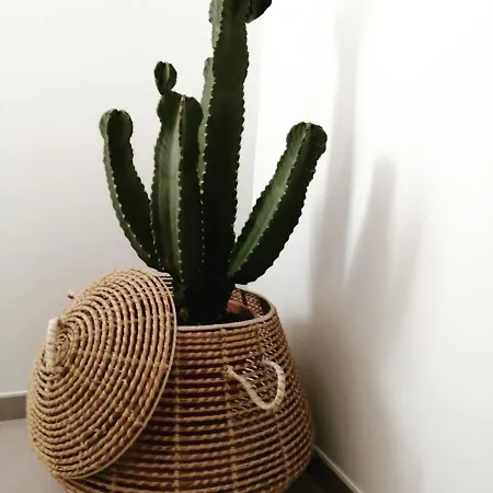 Ou Git Le Bocq Privatif ゲストハウス シネイ