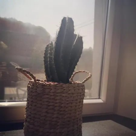 ゲストハウス Ou Git Le Bocq Privatif 4*