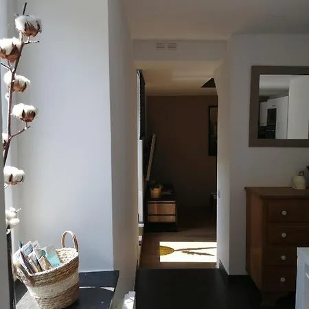 Ou Git Le Bocq Privatif 4* シネイ