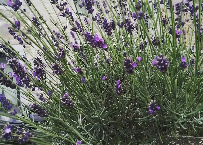 Guest house Ou Git Le Bocq Privatif Ciney