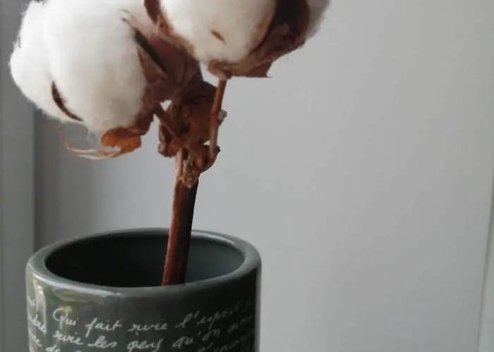 Ou Git Le Bocq Privatif