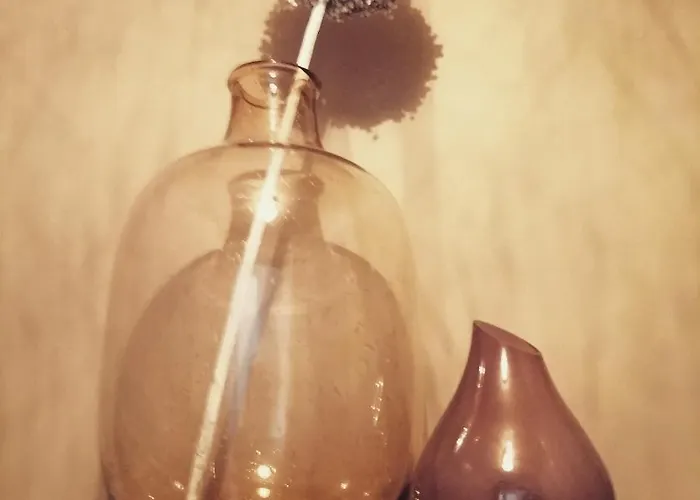 Guest house Ou Git Le Bocq Privatif 4*