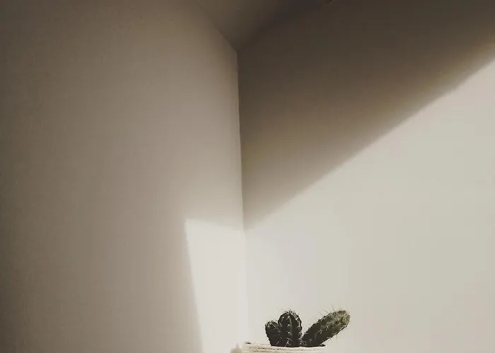 Ou Git Le Bocq Privatif Ciney