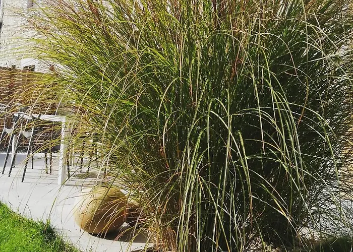 Ou Git Le Bocq Privatif 4* Ciney