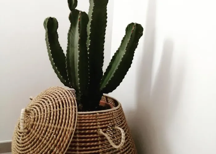 Ou Git Le Bocq Privatif Guest house Ciney