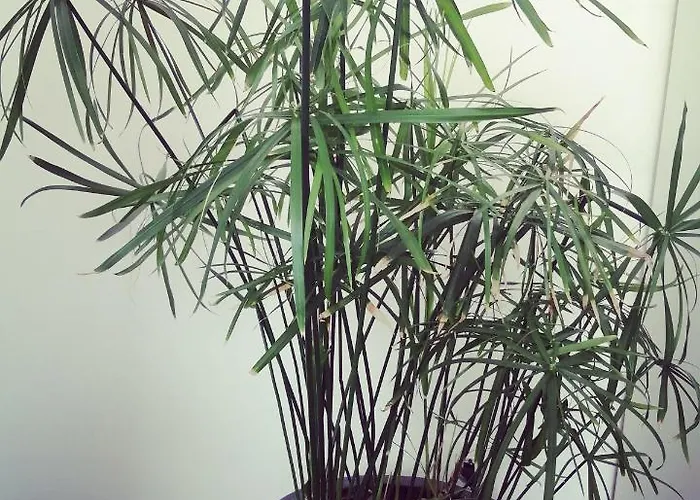 Guest house Ou Git Le Bocq Privatif 4*