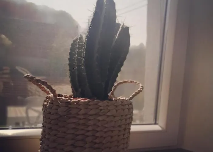 Guest house Ou Git Le Bocq Privatif 4*