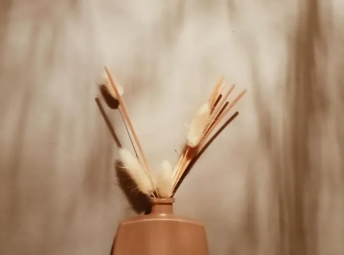 Guest house Ou Git Le Bocq Privatif 4*